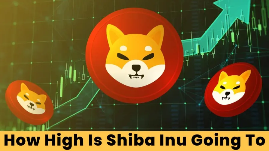 How High Is Shiba Inu Going To Go 2024